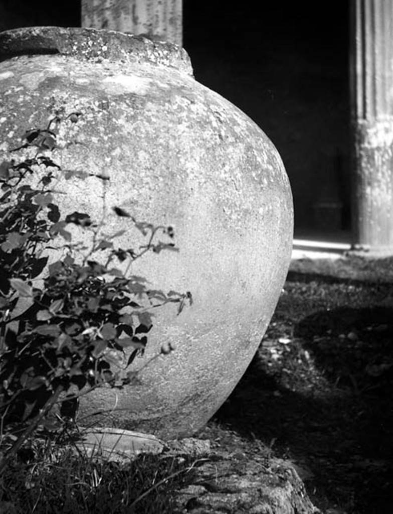 231731 Bestand-D-DAI-ROM-W.537.jpg
VI.9.2 Pompeii. W.537. Dolium or vase 23 in peristyle 16.
Photo by Tatiana Warscher. Photo © Deutsches Archäologisches Institut, Abteilung Rom, Arkiv. See http://arachne.uni-koeln.de/item/marbilderbestand/231731 
