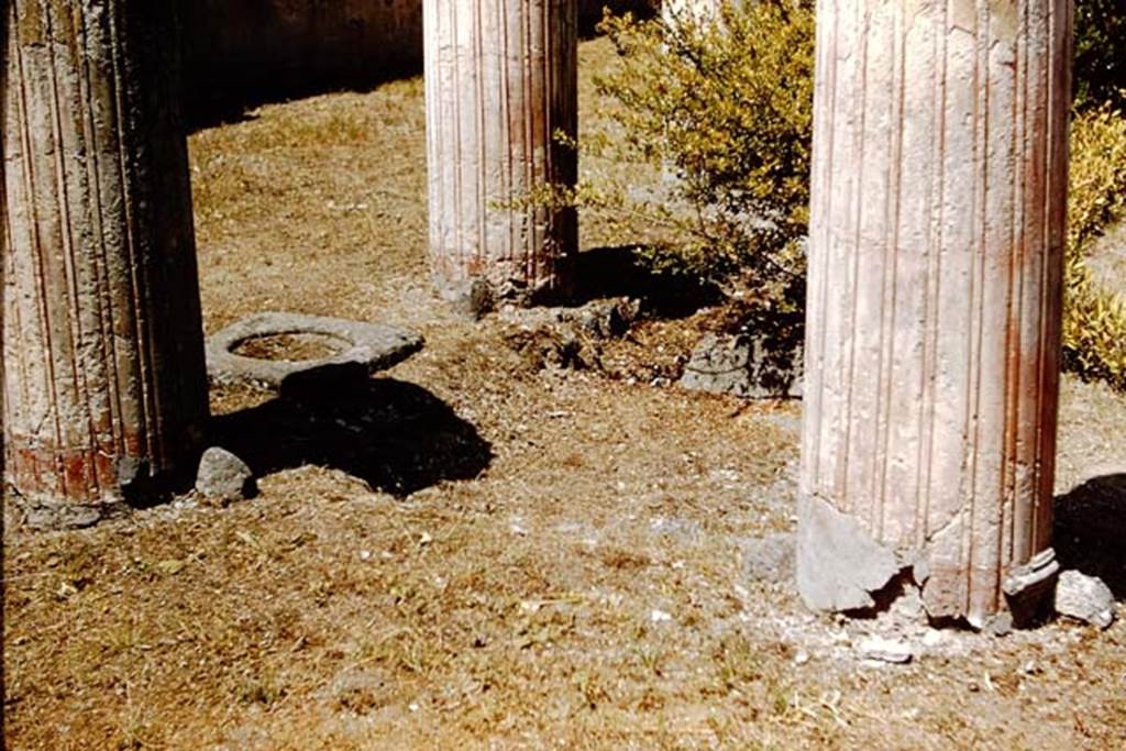 VI.9.2 Pompeii. 1959. Peristyle portico 16, south-west corner, with a cistern opening with a lava cover between the two columns on the west side. Photo by Stanley A. Jashemski.
Source: The Wilhelmina and Stanley A. Jashemski archive in the University of Maryland Library, Special Collections (See collection page) and made available under the Creative Commons Attribution-Non Commercial License v.4. See Licence and use details.
J59f0426

