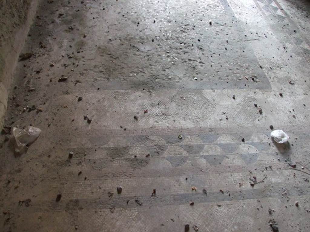 VI.9.2 Pompeii. December 2007. Room 31, looking north across mosaic floor
