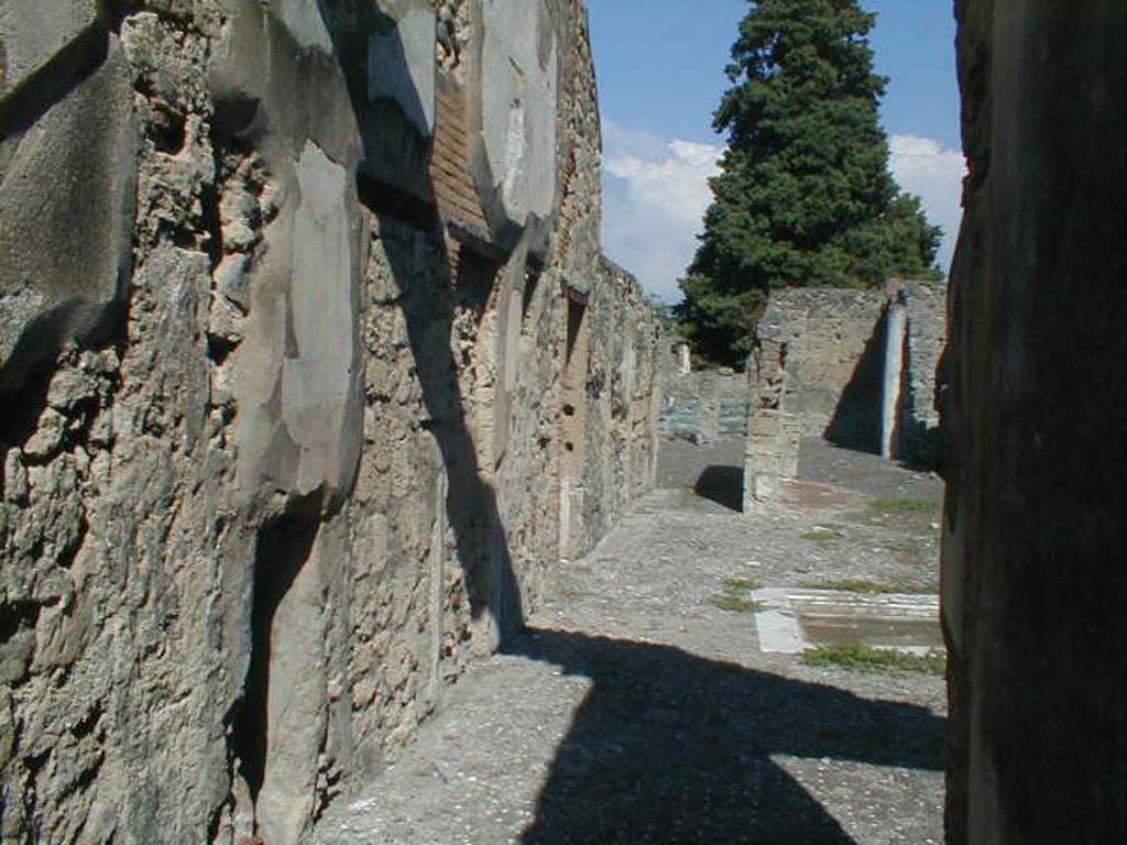 VI.10.2 Pompeii. September 2004. Looking east from entrance fauces.