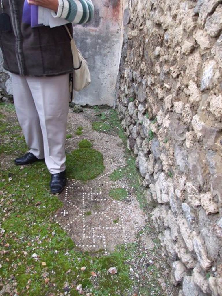 VI.10.2 Pompeii.  March 2009.  Cubiculum on south side of entrance.  Remains of floor pattern.