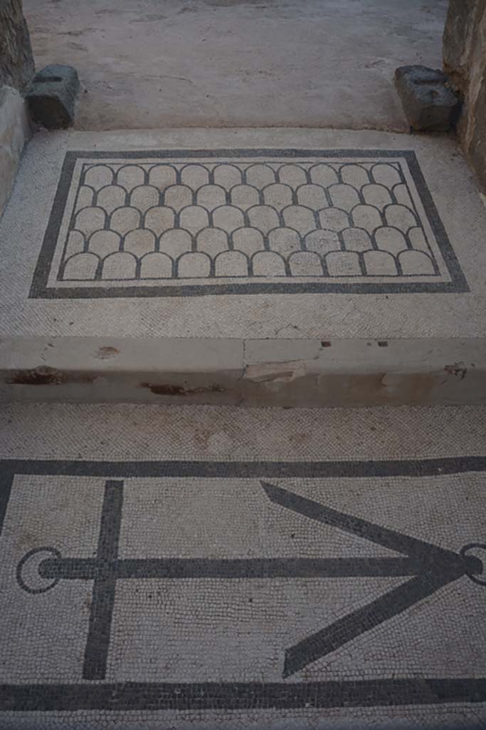 VI.10.7 Pompeii. September 2019. Room 1, looking east across mosaics in vestibule/entrance corridor/fauces.
Foto Annette Haug, ERC Grant 681269 DÉCOR.
