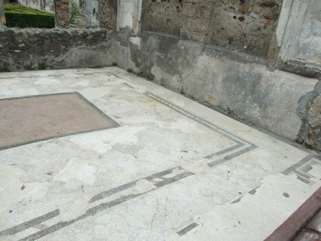 VI.11.10 Pompeii. March 2009. Room 33, east side of mosaic floor in tablinum.