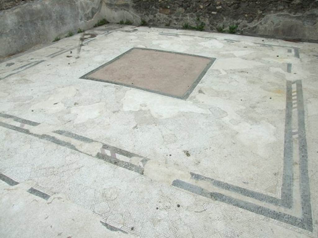 VI.11.10 Pompeii. March 2009. Room 33, mosaic floor in tablinum.