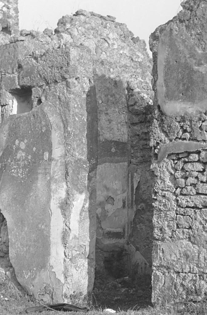 VI.11.19 Pompeii. Detail from W.1557. 
Looking towards south-east corner of atrium, and south wall, with doorway to middle room, room (9) a cubiculum.
In the middle room the painted wall decorations from the east wall can be seen.
Photo by Tatiana Warscher. Photo © Deutsches Archäologisches Institut, Abteilung Rom, Arkiv. 
