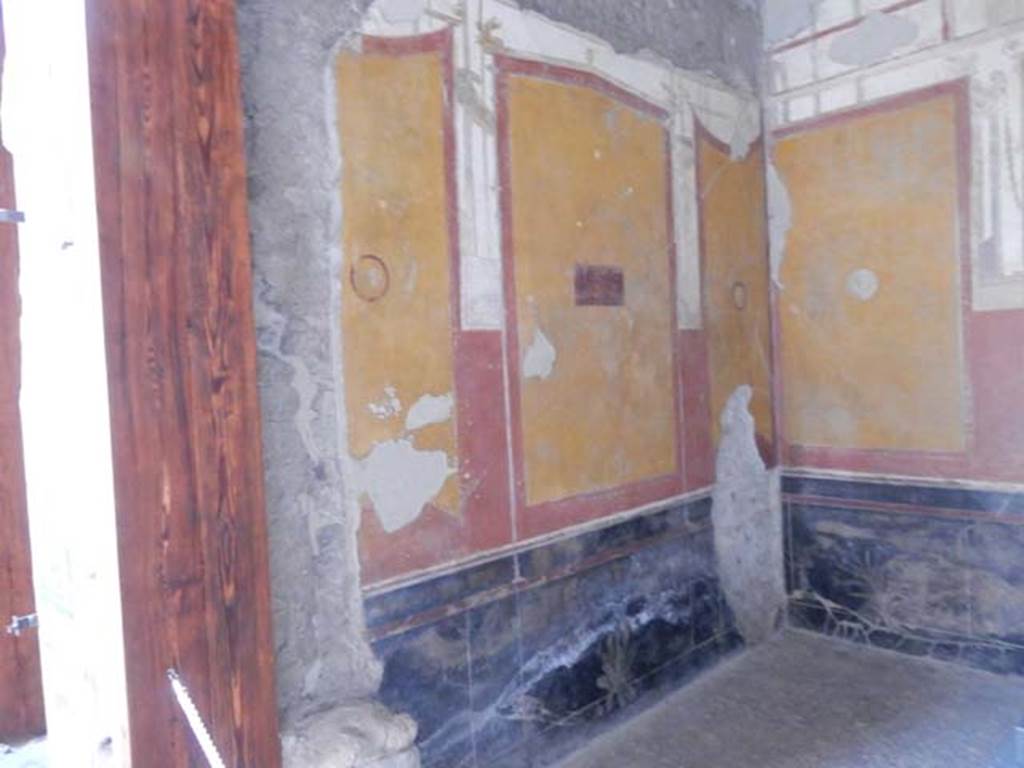 VI.15.1 Pompeii. May 2017. East wall of south ala. The black zoccolo (lower part of wall) was decorated with panels containing painted plants, separated by narrow compartments . Photo courtesy of Buzz Ferebee.



