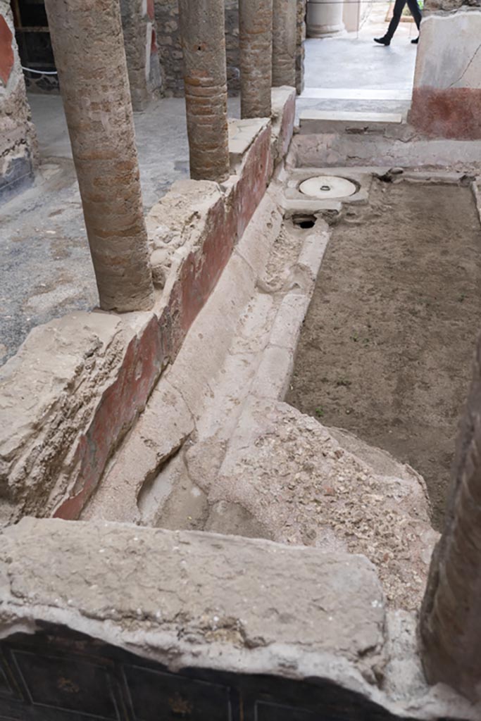 VI.15.1 Pompeii. March 2023. 
Looking south across courtyard area "s" with painted pluteus, and gutter. Photo courtesy of Johannes Eber.
