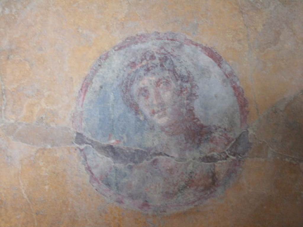 VI.16.7 Pompeii. May 2010. Room R, painted medallion on north end of the west wall.