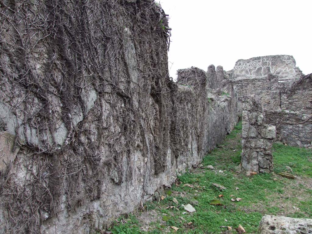 VI.16.12 Pompeii. December 2007. South wall of shop and corridor to rear.
