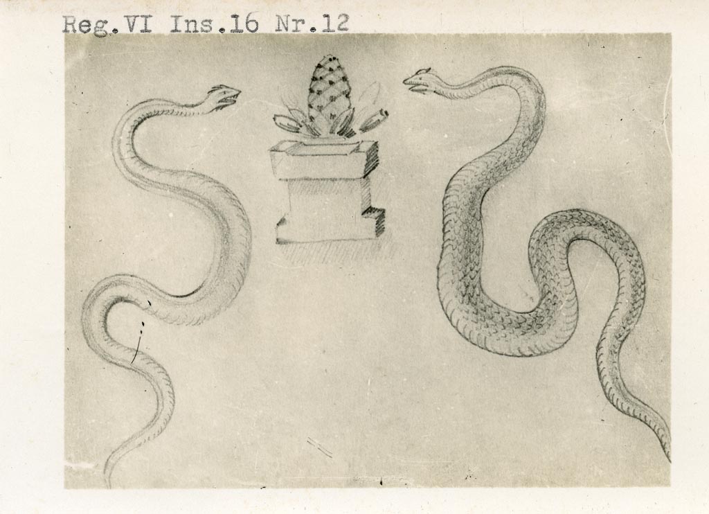 VI.16.12 Pompeii. Pre-1937-39. Early 20th century sketch of two painted serpents and the pine cone.
Photo courtesy of American Academy in Rome, Photographic Archive. Warsher collection no. 612.
