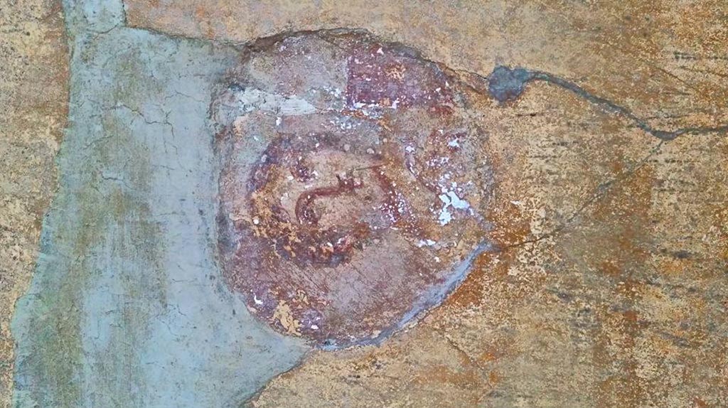 VI.16.15 Pompeii. May 2015. Room G, medallion from north end of east wall. Photo courtesy of Buzz Ferebee.

