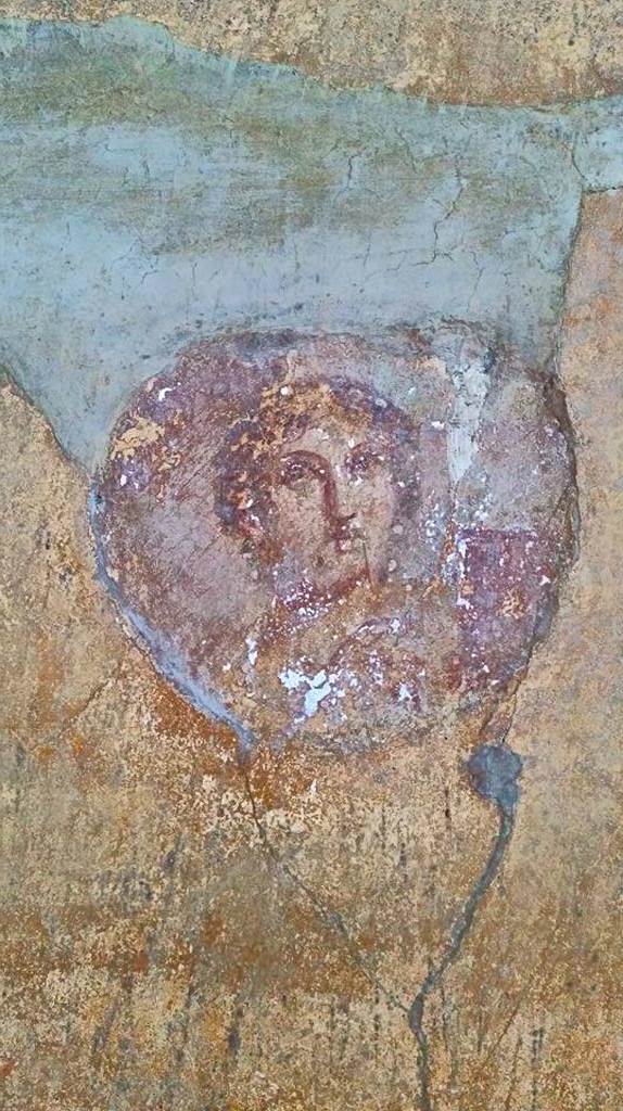 VI.16.15 Pompeii. 2015/2016. 
Room G, medallion from north end of east wall. Photo courtesy of Giuseppe Ciaramella.
