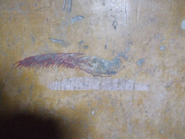 VI.16.15 Pompeii. December 2006. Wall painting of peacock on centre of west wall in room H.