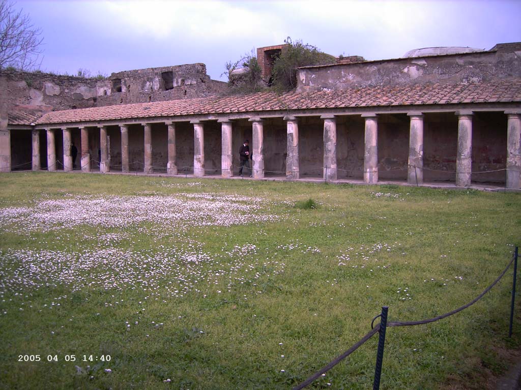 VII.1.8 Pompeii. April 2005. Looking towards east portico. Photo courtesy of Klaus Heese.