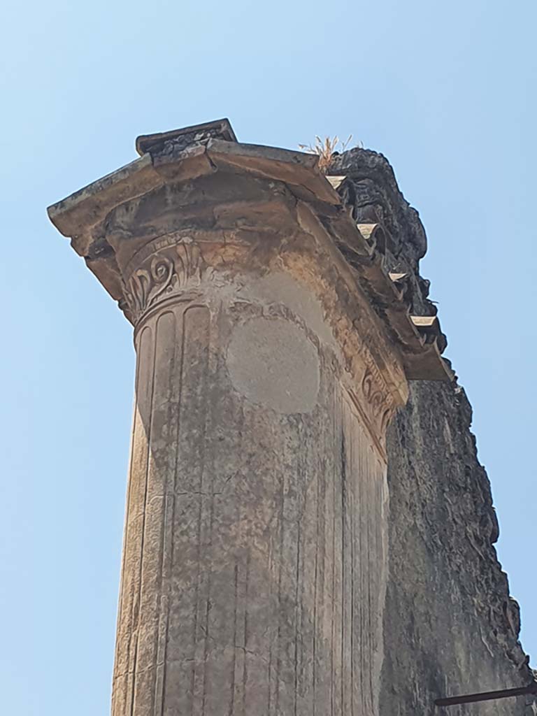 VII.1.8 Pompeii. July 2021. Upper pilaster on south portico, looking north-west. 
Foto Annette Haug, ERC Grant 681269 DÉCOR Near vestibule
