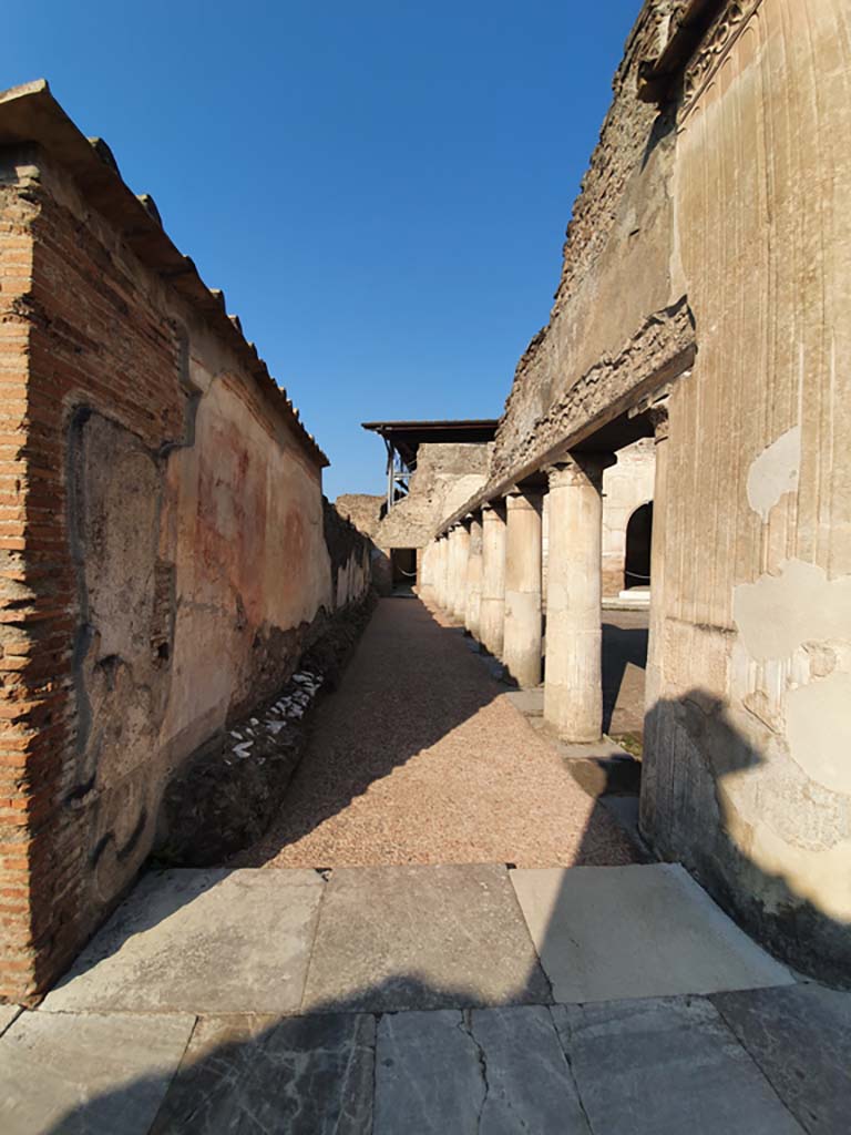 VII.1.8 Pompeii. July 2021. Looking north-west across the gymnasium. 
Foto Annette Haug, ERC Grant 681269 DÉCOR

