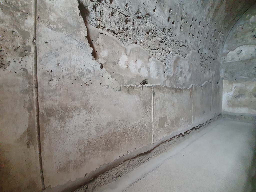VII.1.8 Pompeii. July 2021. Tepidarium 10, north wall.    
Foto Annette Haug, ERC Grant 681269 DÉCOR
