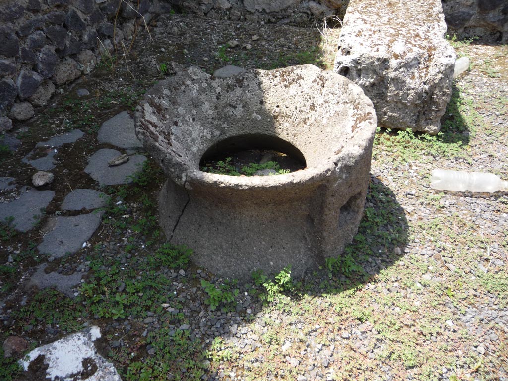 VII.1.36 Pompeii. October 2009. Looking east into latrine. Photo courtesy of Jared Benton.
According to Hobson, the workers on the ground floor still required a latrine. This small room was constructed encroaching onto the property on the eastern side (VII.1.30). The pedestals had a foot-rest in front of them with a tiled floor into which a rectangular drain was inserted. A threshold stone had only one pivot hole and the door could not have opened outwards because the stones in the bakery were higher than the threshold.
Perhaps the door folded?
See Hobson, B., 2009. Latrinae et foricae: Toilets in the Roman World. London; Duckworth. (p.53, figs. 71 and 72).
