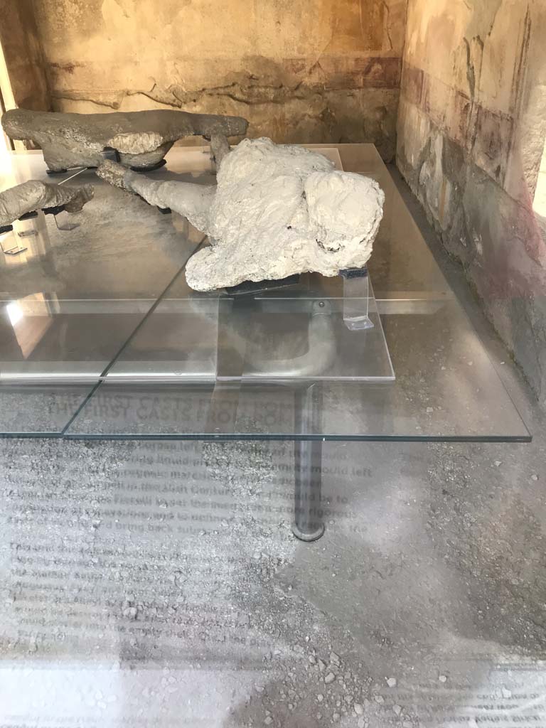 VII.1.47 Pompeii. April 2019. 
Room 8, looking towards west wall, north-west corner and north wall. 
Photo courtesy of Rick Bauer.
