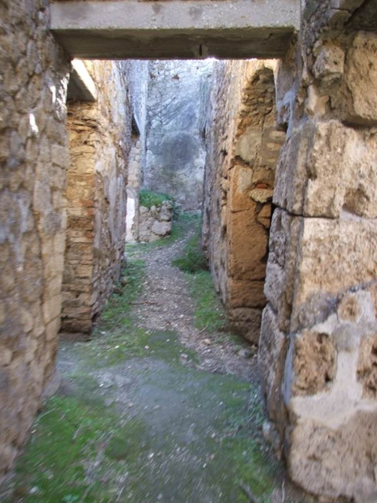 VII.2.14 Pompeii.  March 2009. Corridor to rear.