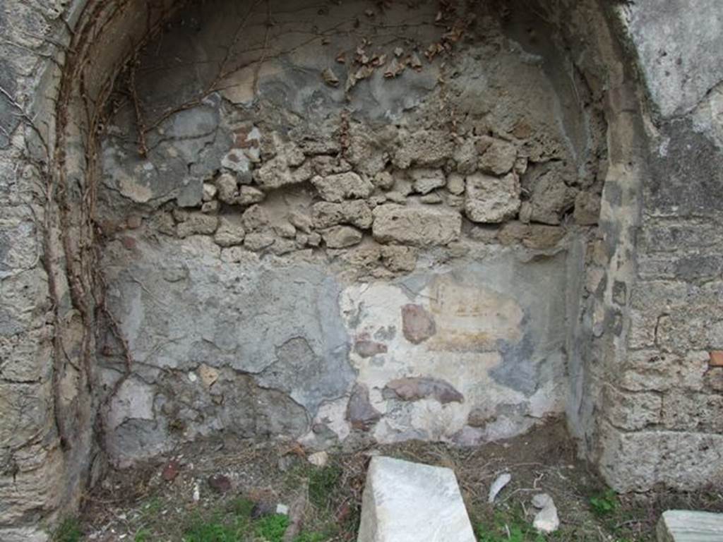 VII.2.20 Pompeii. March 2009. Painted plaster in arch in recess in east wall of peristyle garden.  