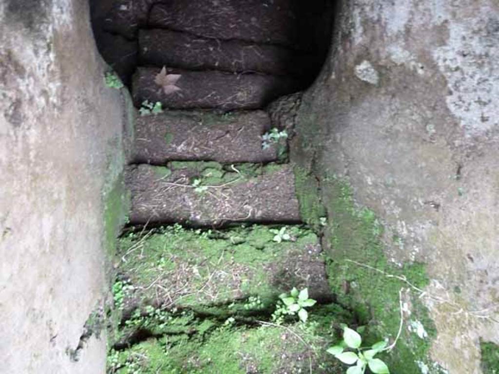 VII.2.35 Pompeii. May 2010. Steps to cellar.