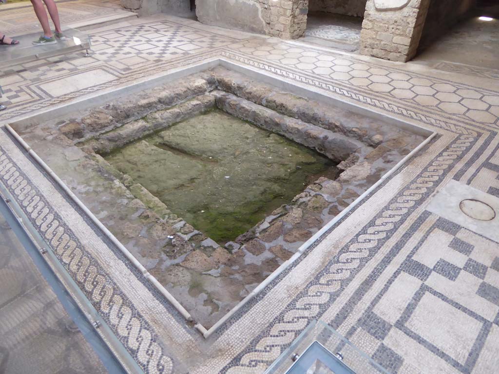 VII.2.45 Pompeii. September 2018. Mosaic floor and impluvium in atrium.
Foto Annette Haug, ERC Grant 681269 DÉCOR.
