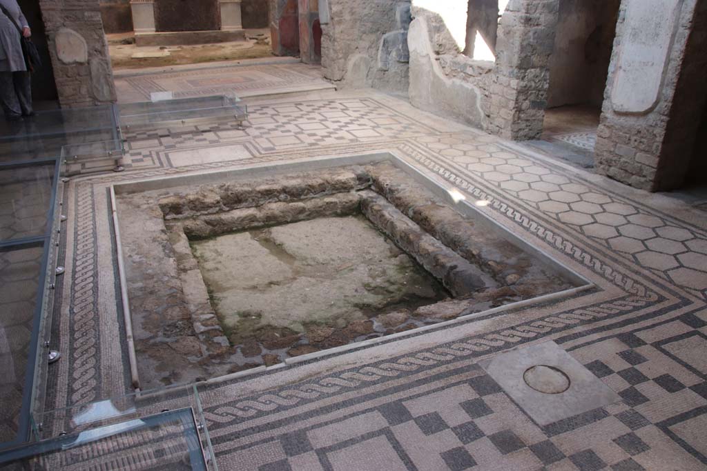 VII.2.45 Pompeii. September 2017. Mosaic floor and impluvium in atrium. Photo courtesy of Klaus Heese.