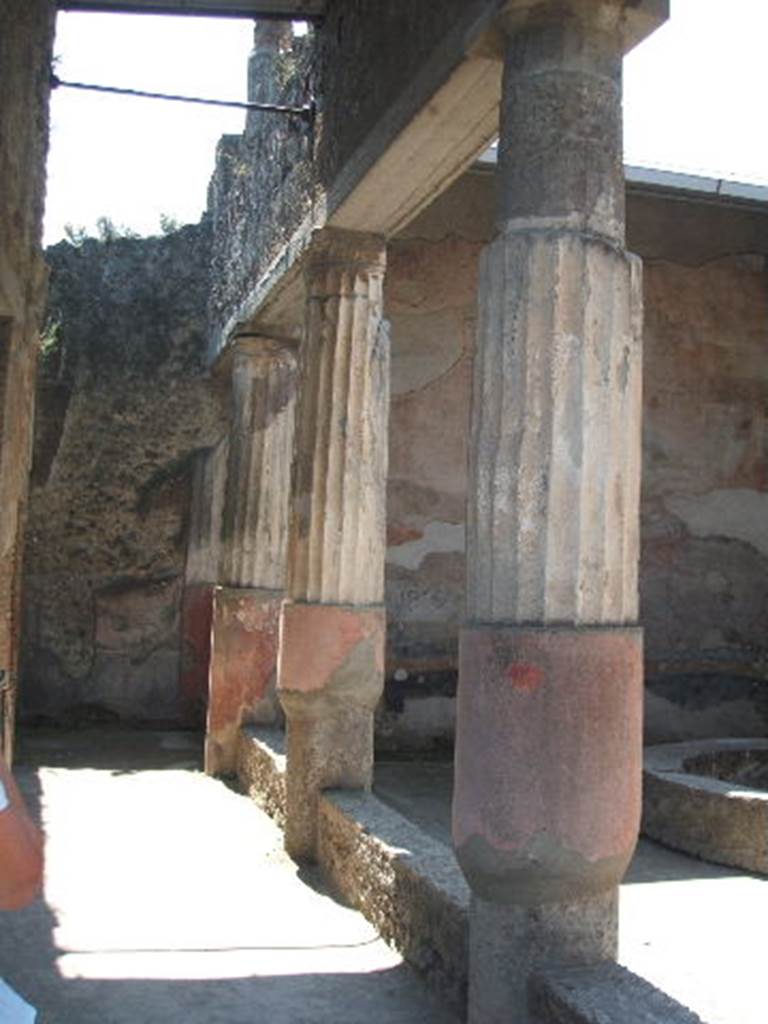 VII.4.48 Pompeii. May 2005.  Peristyle. East side. Looking south.