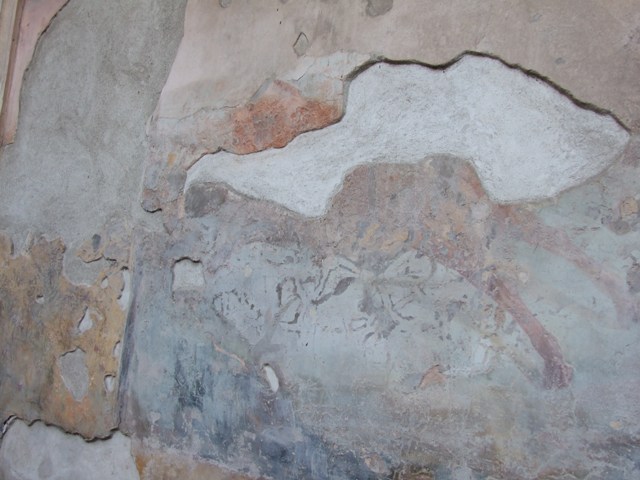 VII.4.48 Pompeii. December 2007.  Peristyle.  South wall, east end.  Hunt scene animal.