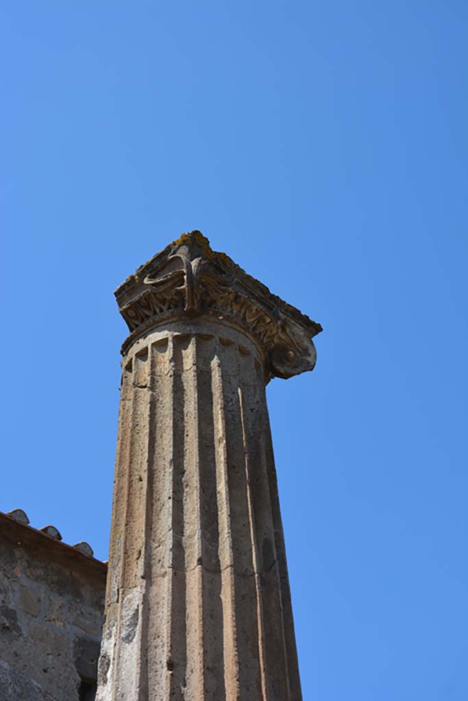 VII.4.57 Pompeii. September 2019. 
Detail of column and capital in north-west corner of portico/peristyle.
Foto Annette Haug, ERC Grant 681269 DÉCOR.
