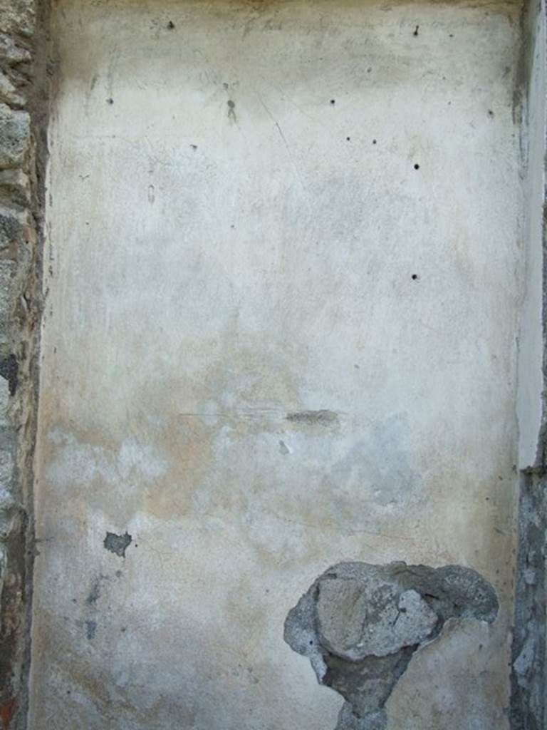 VII.4.57. Pompeii.  March 2009.  Rear wall of Aedicula Lararium.
