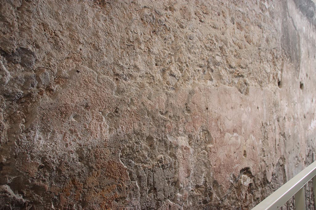 VII.5.8 Pompeii. October 2024. Caldarium (50), east wall. Photo courtesy of Klaus Heese.