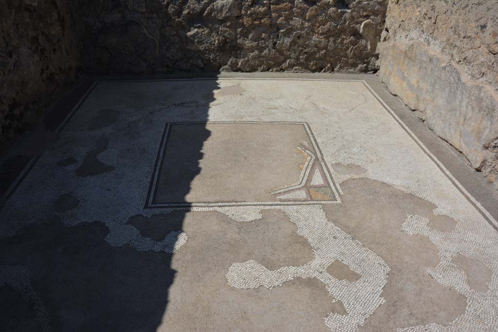 VII.7.5 Pompeii. September 2019. Room (d), looking west across detail of flooring.
Foto Annette Haug, ERC Grant 681269 DÉCOR.
