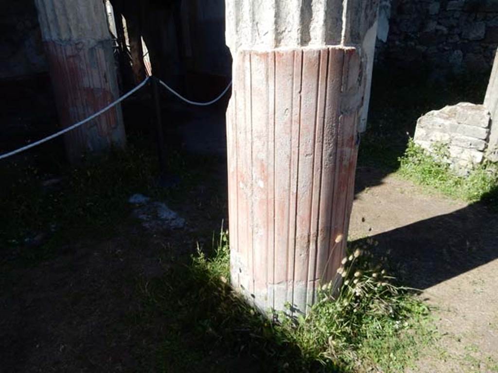 VII.7.10 Pompeii. May 2018. Column on east portico of peristyle. Photo courtesy of Buzz Ferebee. 