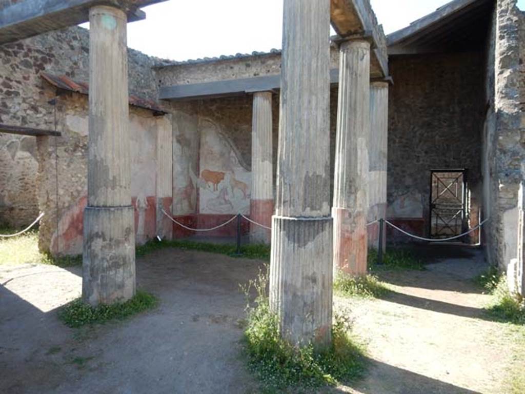 VII.7.10 Pompeii. May 2018. Room (n), an oecus, looking towards doorway to atrium and west wall.  
Photo courtesy of Buzz Ferebee. 
According to PPM, “in this room, to the left of where you enter, therefore probably on the west wall, the painting of Romulus and Remus with the wolf was found, but already very badly preserved when it was found in 1864.”
