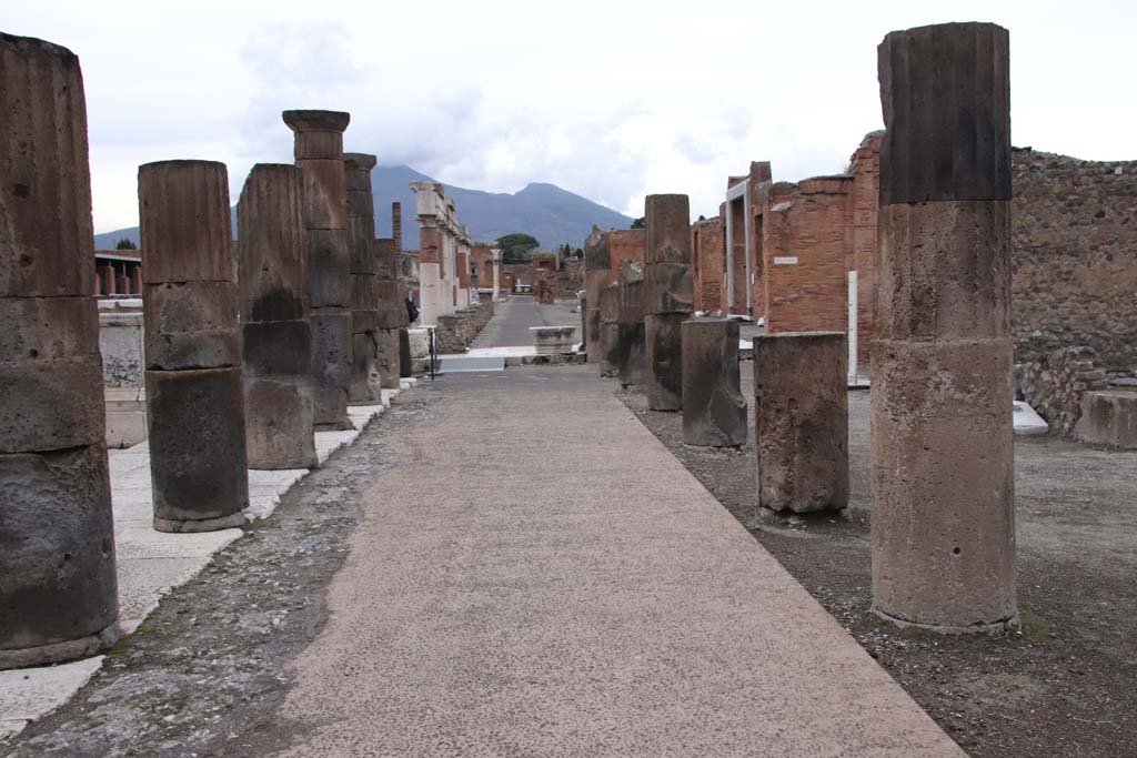 VII.8 Pompeii Forum. October 2020. Looking north along the east side, from south-east corner, in the year of the pandemic.
Photo courtesy of Klaus Heese.
