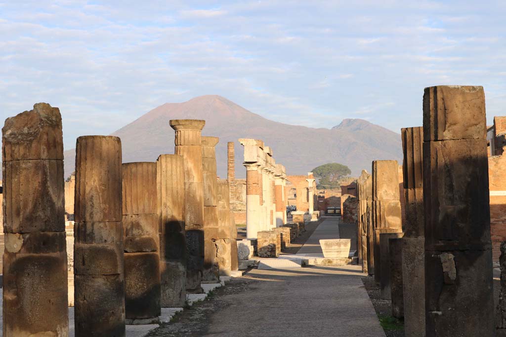 VII.8 Pompeii Forum. December 2018. Looking north along the east side, from south-east corner. Photo courtesy of Aude Durand.