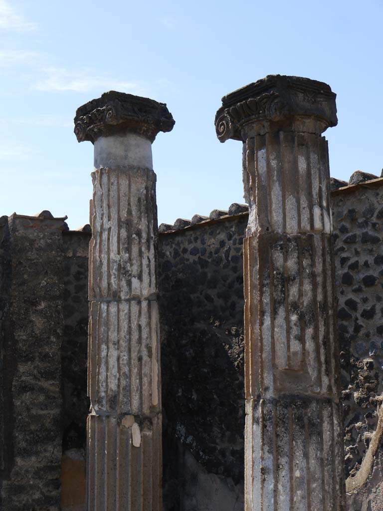 VII.8.01 Pompeii. September 2018. Detail from column near west wall, looking north. 
Foto Anne Kleineberg, ERC Grant 681269 DÉCOR.
