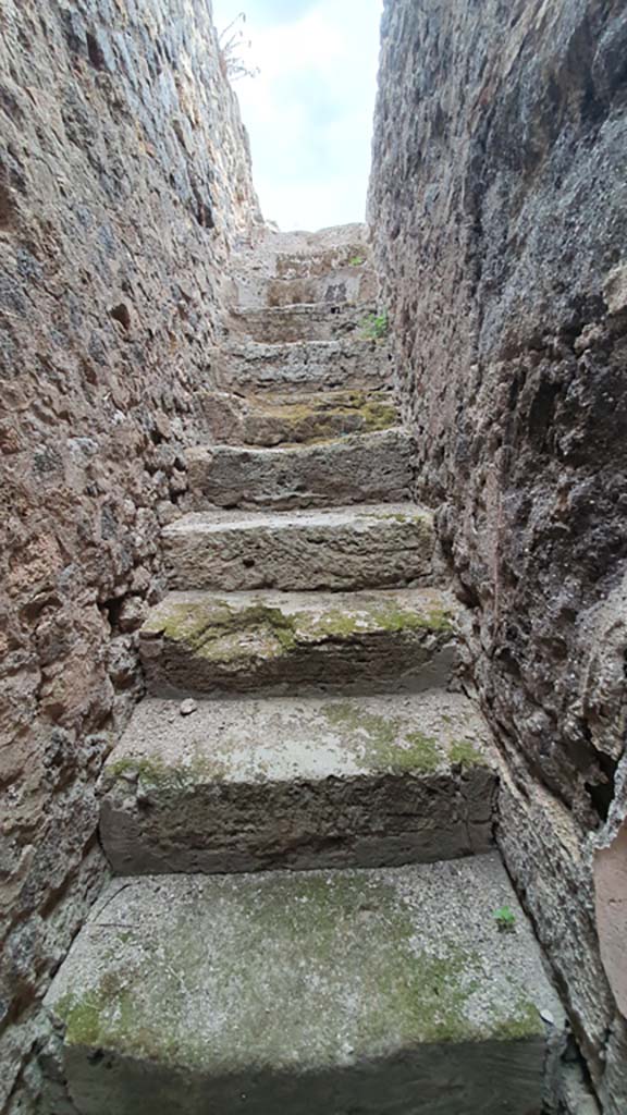 VII.8.01 Pompeii. September 2018. Looking west down steps from north-east corner. 
Foto Anne Kleineberg, ERC Grant 681269 DÉCOR.

