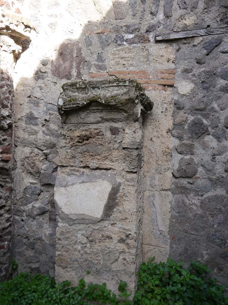 VII.8.01 Pompeii. March 2019. Detail of west end of north wall.
Foto Anne Kleineberg, ERC Grant 681269 DÉCO
