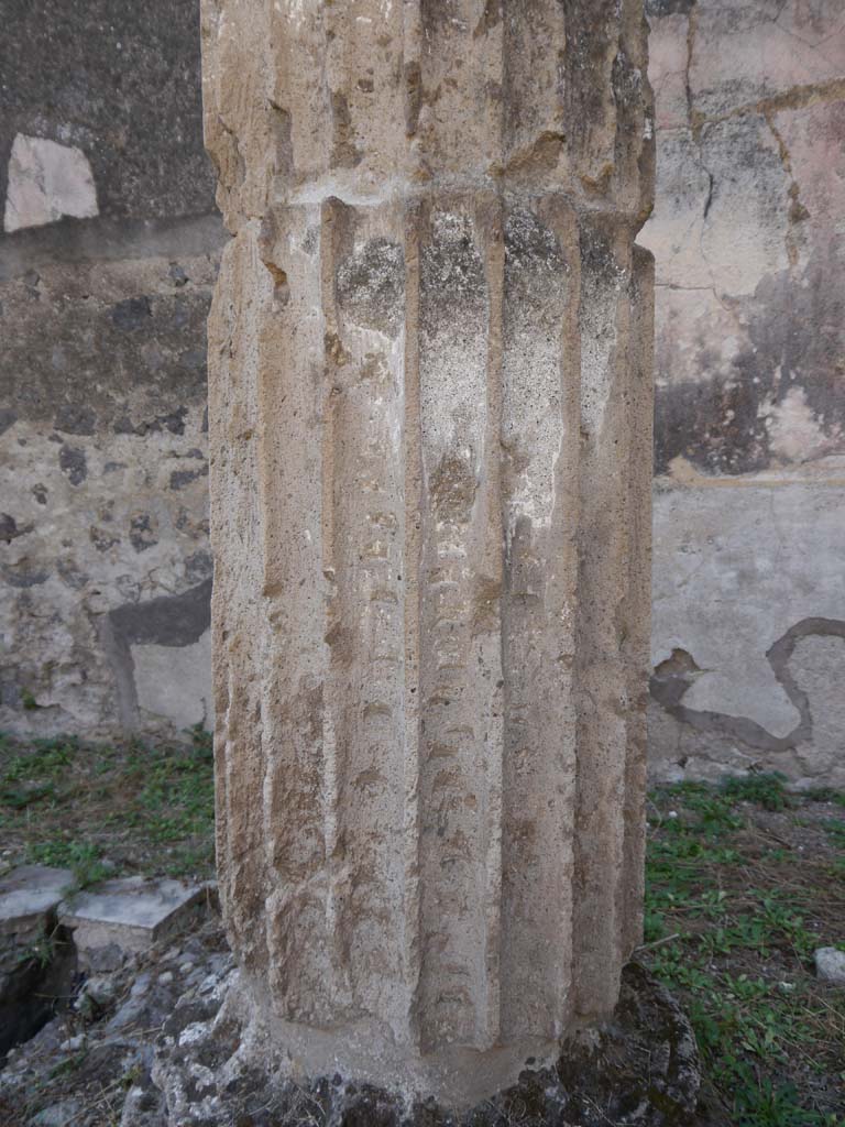 VII.8.01 Pompeii. September 2018. Detail of column near east wall. 
Foto Anne Kleineberg, ERC Grant 681269 DÉCOR.
