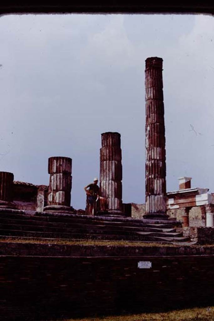 VII.8.1 Pompeii. 1974. Looking towards east side of Temple. Photo by Stanley A. Jashemski.   
Source: The Wilhelmina and Stanley A. Jashemski archive in the University of Maryland Library, Special Collections (See collection page) and made available under the Creative Commons Attribution-Non Commercial License v.4. See Licence and use details. J74f0156
