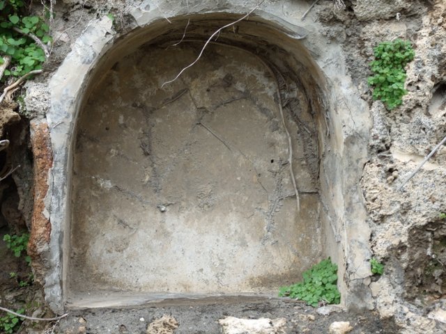 VII.11.14 Pompeii. March 2009. Garden “C”, upper niche. According to Boyce, the inside walls of the higher niche still showed the coating with orange-coloured stucco.
