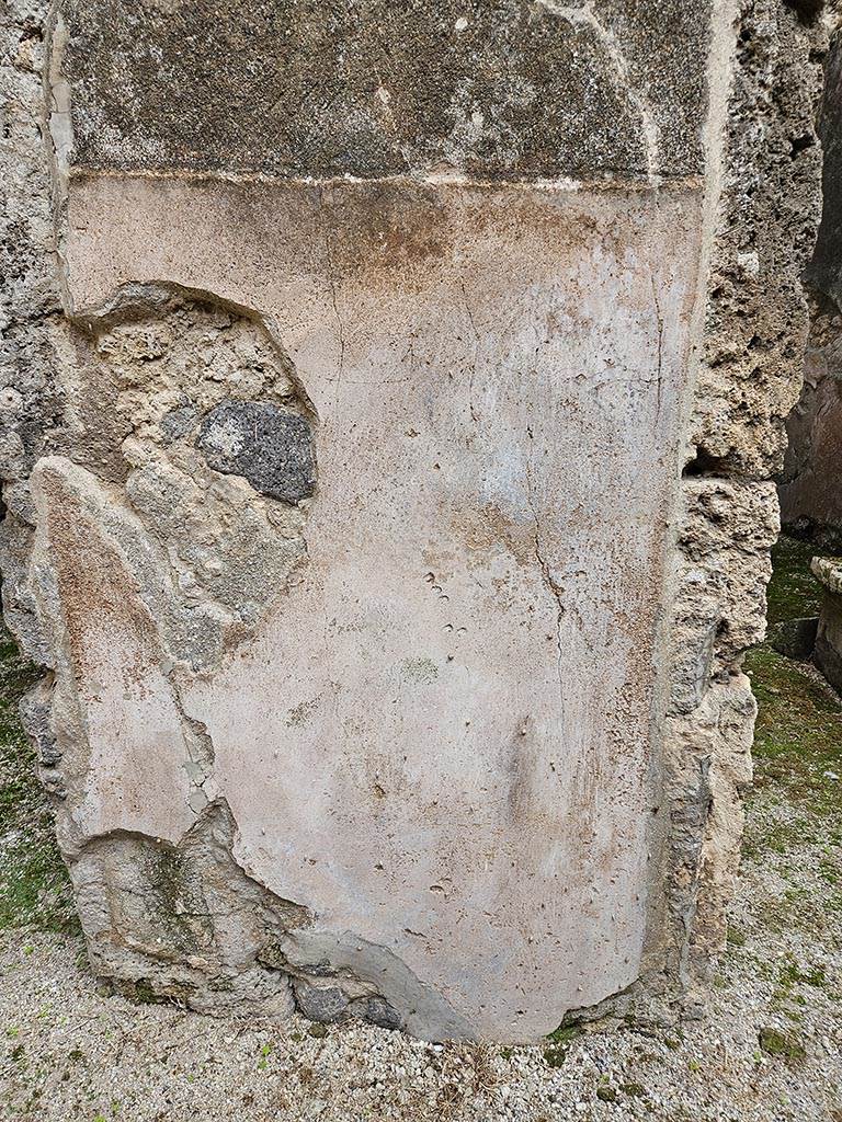 VII.11.11/14 Pompeii. November 2024. 
Room 8, east side of atrium, detail of stucco on zoccolo at north end between doorways to rooms 11 and 12.
Photo courtesy of Annette Haug.
