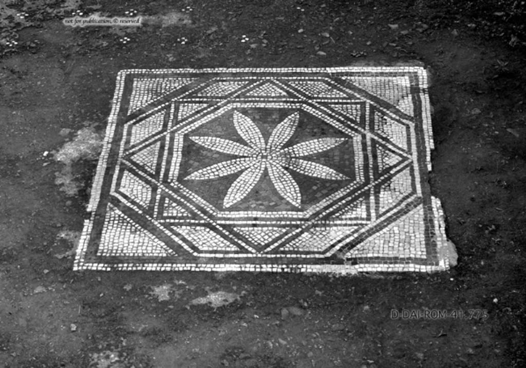 VII.13.4 Pompeii. c.1930. Room i, cubiculum on east side of atrium.
Mosaic central decoration set in floor of cocciopesto dotted with crosses made of four white tesserae, with a small black tile in the centre. 
DAIR 41.775. Photo  Deutsches Archologisches Institut, Abteilung Rom, Arkiv.
See Pernice, E.  1938. Pavimente und Figrliche Mosaiken: Die Hellenistische Kunst in Pompeji, Band VI. Berlin: de Gruyter, (tav. 49.3, above.)
