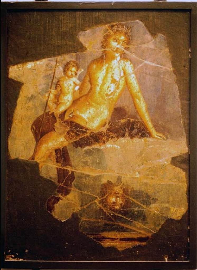 VII.15.2 Pompeii. Photographed in the Antiquarium in 1970. 
From tablinum. Painting of Narcissus and Eros. 
Narcissus wears a crown of ivy and is naked apart from a red cloak. 
Leaning on his left hand he is looking at the very clear image mirrored in the water. 
On his right thigh sits Eros also looking at the image in the water.
According to Sogliano, this was found in pieces and restored.
SAP inventory number 20877.
See Sogliano, A., 1879. Le pitture murali campane scoverte negli anni 1867-79. Napoli: Giannini, p.118, no.590.
See Garcia y Garcia, L., 2006. Danni di guerra a Pompei. Rome: L’Erma di Bretschneider, p. 185, fig. 429. 

According to GdS – 16 April 1872 –
Nell’isoletta XV,  e propriamente nella parte interna della seconda casa sul lato settentrionale del vicolo del gallo si era sterrato un dipinto a fresco, caduto sul pavimento del tablino, la cui parete sinistra ora abbattuta ne era anticamente decorata. Dai frammenti diligentemente raccolti e messi insieme risultala figura di Narciso coronato e sedente sopra un masso, che si specchia nel fonte, e sostiene un Amorino sulla gamba dritta, cui era poggiato il venabulo.
(In insula XV, and really in the inner part of the second house on the northern side of the Vicolo del Gallo, a fresco painting had been excavated, fallen down onto the floor of the tablinum, whose left wall was now fallen but once had been decorated. From the fragments diligently collected and put together resulted the figure of Narcissus crowned and seated upon a boulder, which is mirrored in the spring/fountain, and has a Cupid supported by his right leg, against which rested his hunting spear.)
See Giornale degli Scavi, 1872, April, 16,  (p.420)


