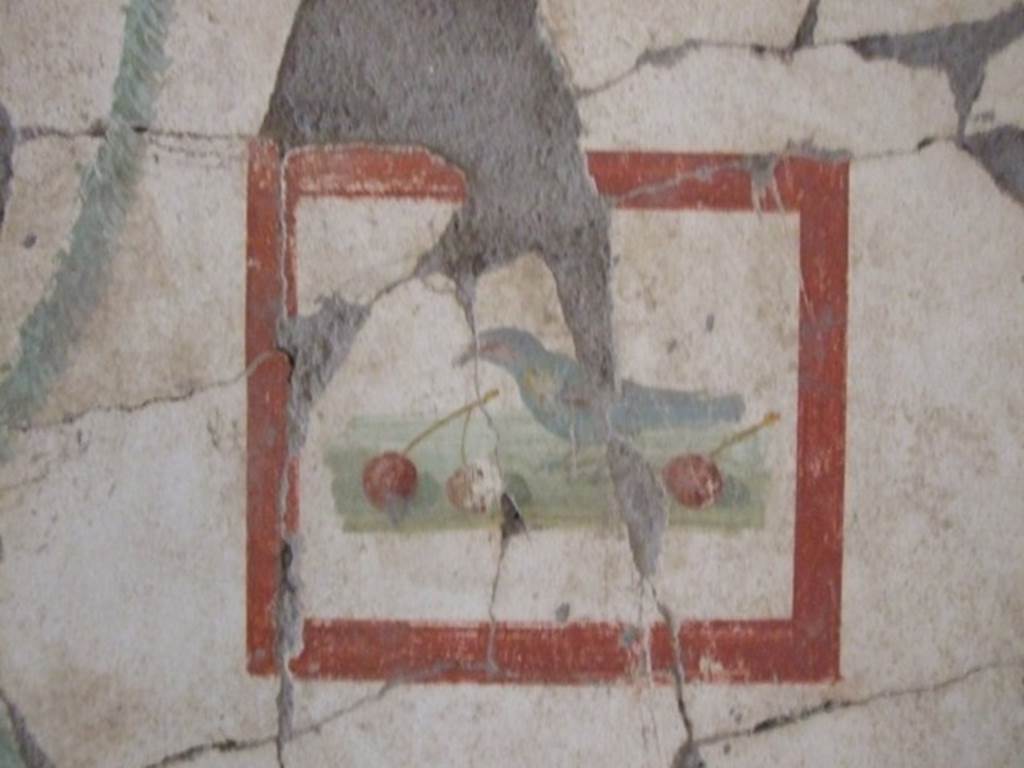 VII.16.17-22 Pompeii. December 2007. Painted wall panel of bird and cherries from west end of south wall in alcove in cubiculum.