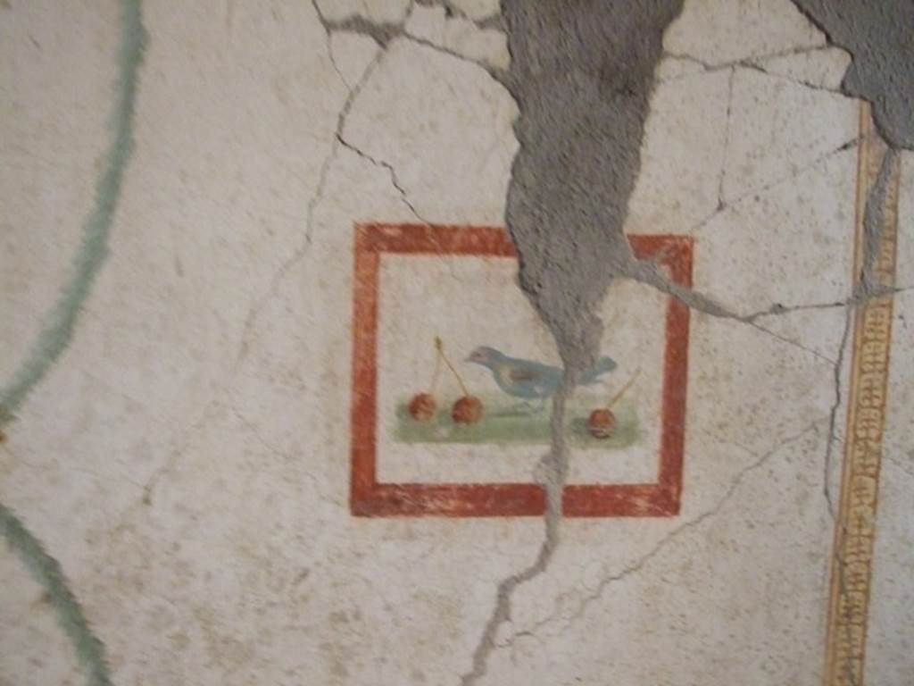 VII.16.17-22 Pompeii.   December 2007.  Painted wall panel of bird and cherries.