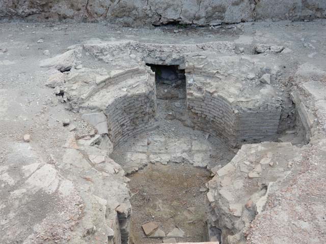 VII.16.a Pompeii. May 2015. Room 2, detail of centre of pool.  Photo courtesy of Buzz Ferebee.
